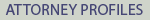 Attorney Profiles